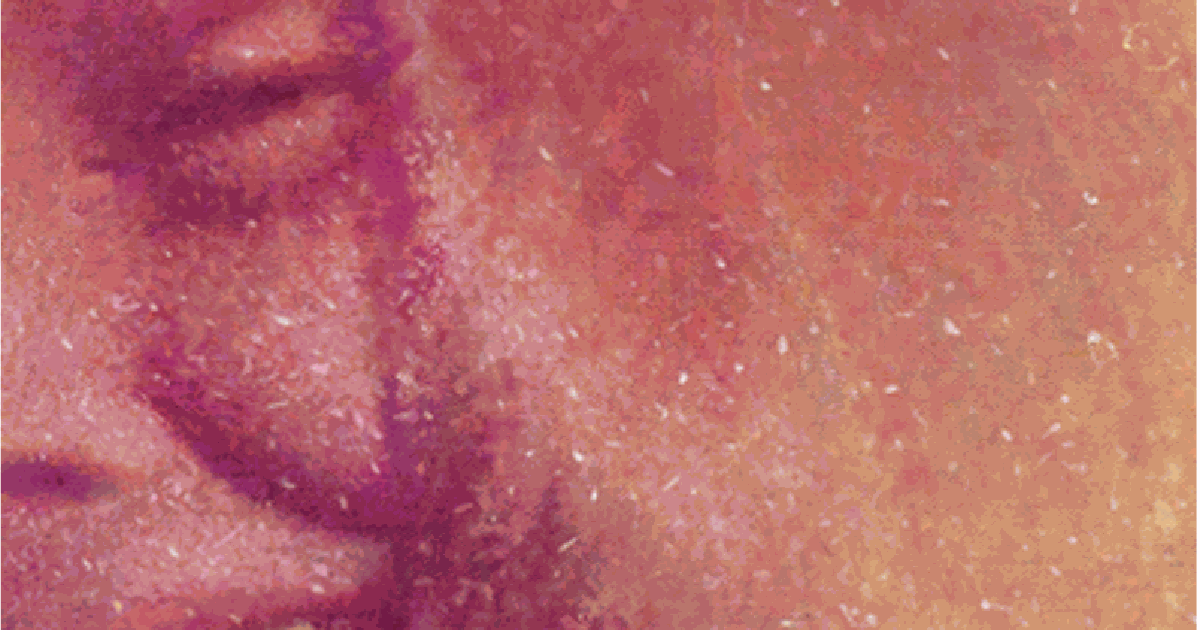 Publication: The Anomie Review of Contemporary British Painting 3 ...